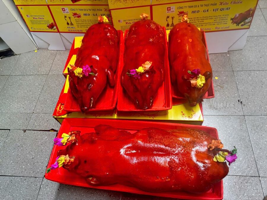 Heio Rung Heo rừng lai quay nguyên con giá tốt nhất - Heo Quay Hữu Chiến