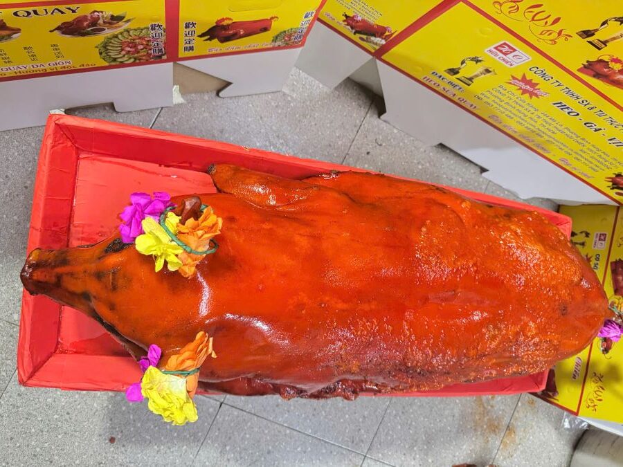 heo-quay-nguyen-con-20kg