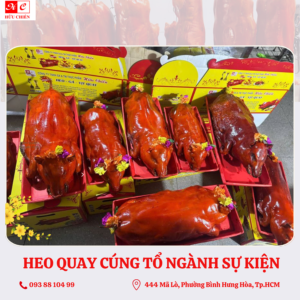 heo-quay-cung-to-ngang-su-kien
